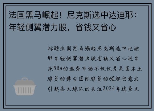 法国黑马崛起！尼克斯选中达迪耶：年轻侧翼潜力股，省钱又省心